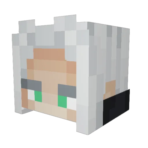 Reibuss Minecraft avatar head, 3D render