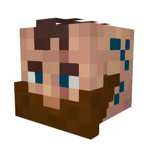 Reicalg Minecraft avatar head, 3D render