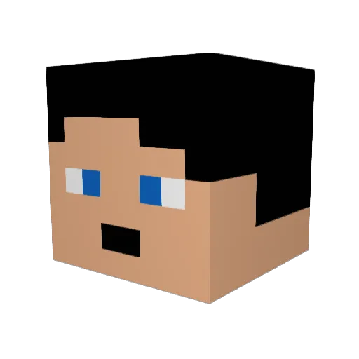 Reichsfurer_SS Minecraft avatar head, 3D render