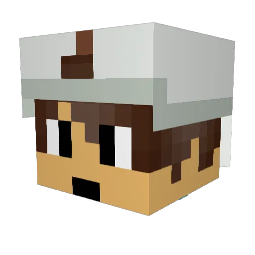 Reichy11 Minecraft avatar head, 3D render