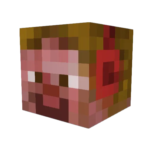 Reid0 Minecraft avatar head, 3D render
