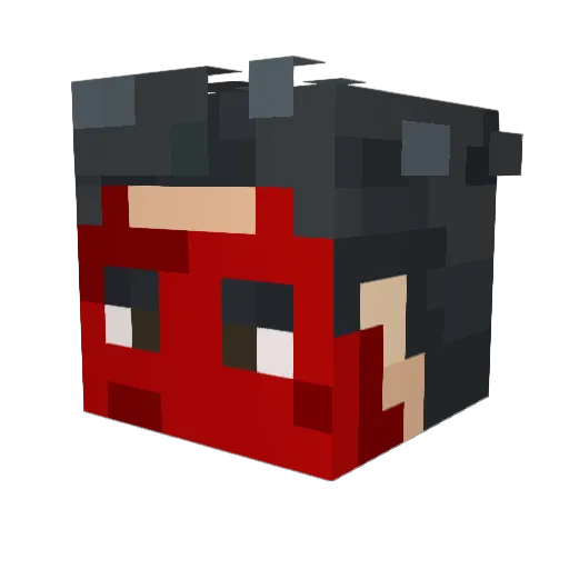 Reid33n Minecraft avatar head, 3D render