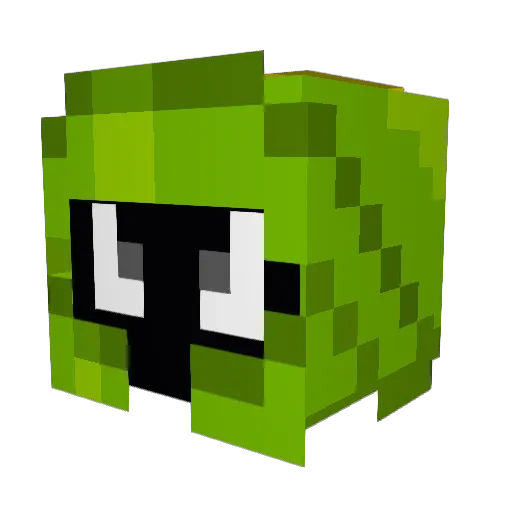 ReidTheLegend Minecraft avatar head, 3D render