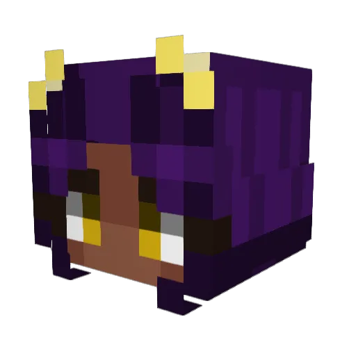 Reidacoca Minecraft avatar head, 3D render