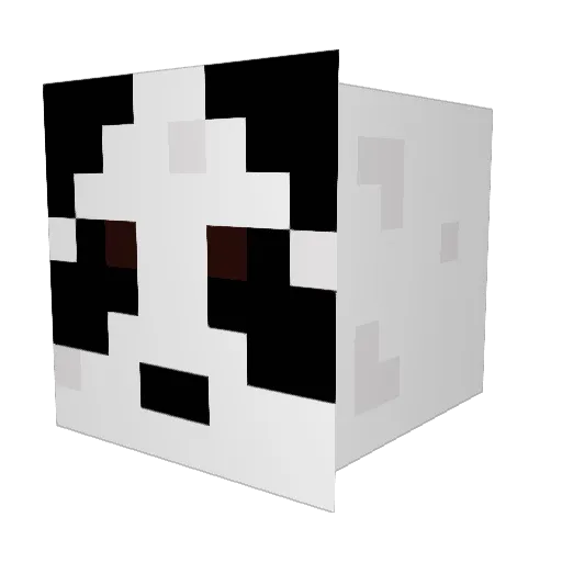 Reido_X Minecraft avatar head, 3D render