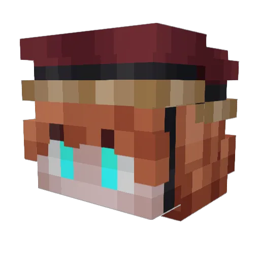 Reiduca Minecraft avatar head, 3D render