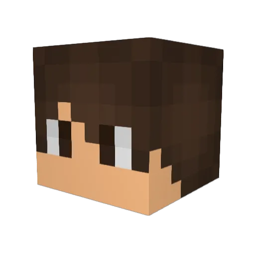 Reigh7769 Minecraft avatar head, 3D render