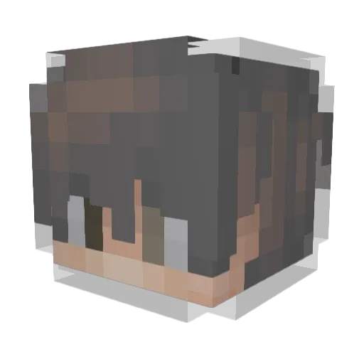 Reighus Minecraft avatar head, 3D render
