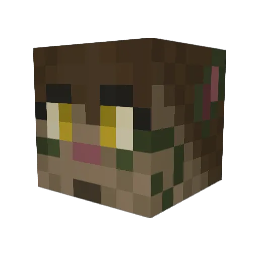 Reign218 Minecraft avatar head, 3D render