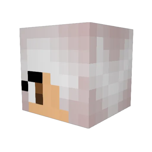 ReignJN Minecraft avatar head, 3D render