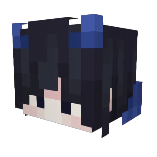 ReignStorm0527 Minecraft avatar head, 3D render