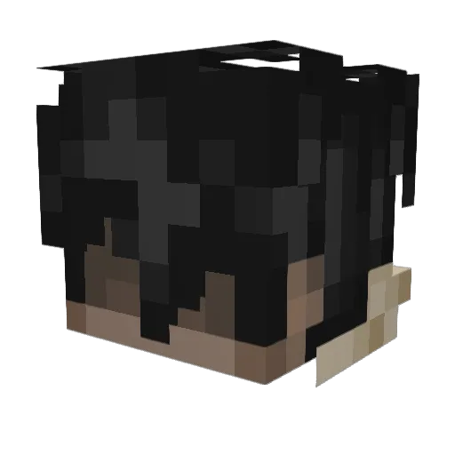 Reignax Minecraft avatar head, 3D render