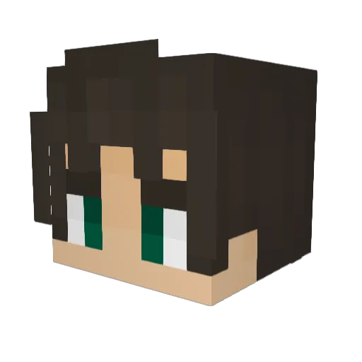 Reigning115 Minecraft avatar head, 3D render