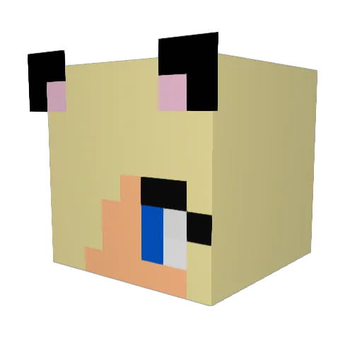 Reigninhell_7 Minecraft avatar head, 3D render