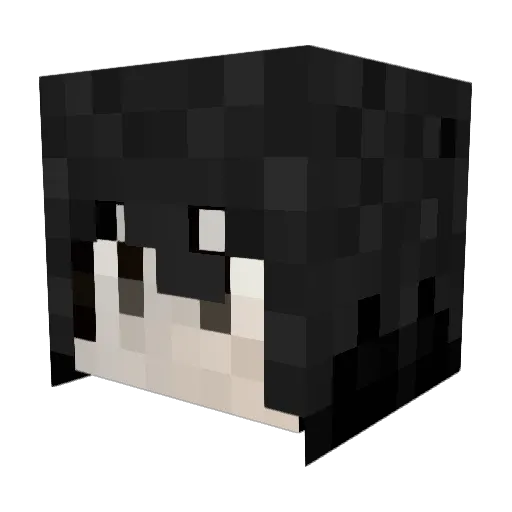 Reigns63 Minecraft avatar head, 3D render