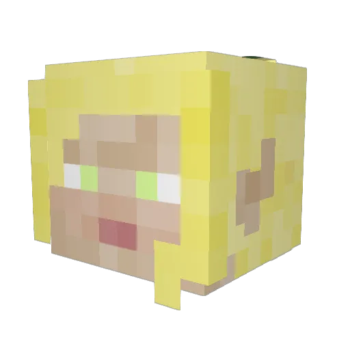 Reignterror Minecraft avatar head, 3D render