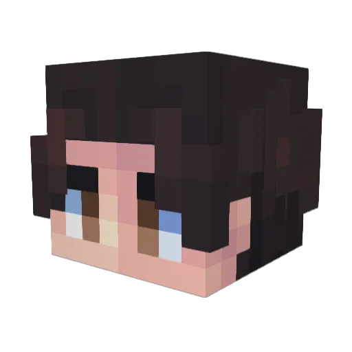 Reii_ Minecraft avatar head, 3D render