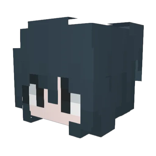 Reiiizor Minecraft avatar head, 3D render