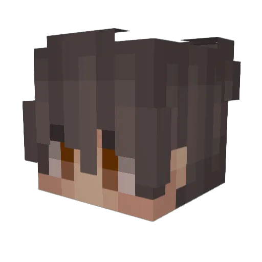 Reiisu Minecraft avatar head, 3D render