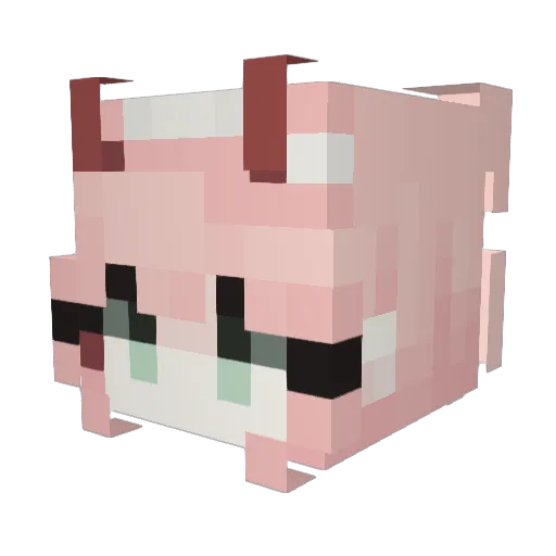 ReijiVon Minecraft avatar head, 3D render