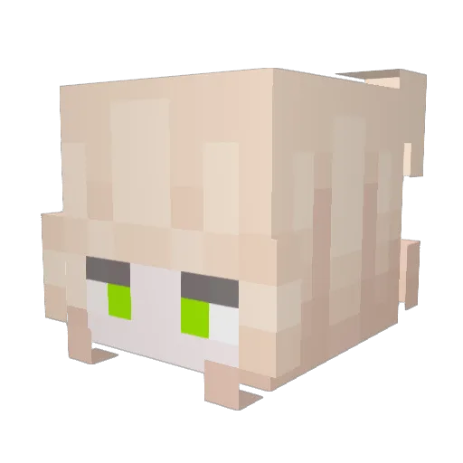 ReikA1 Minecraft avatar head, 3D render
