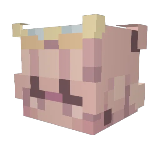 Reika2245 Minecraft avatar head, 3D render