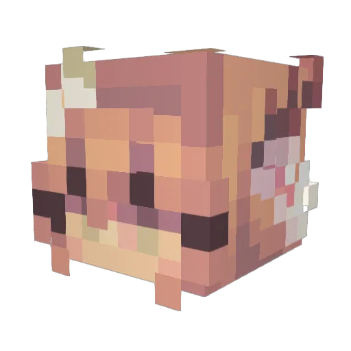 Reiko10 Minecraft avatar head, 3D render