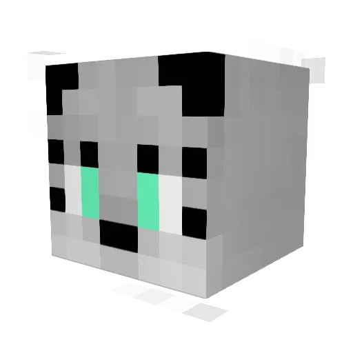 Reiko5502 Minecraft avatar head, 3D render