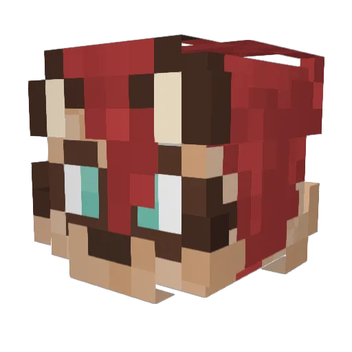 Reikoon Minecraft avatar head, 3D render