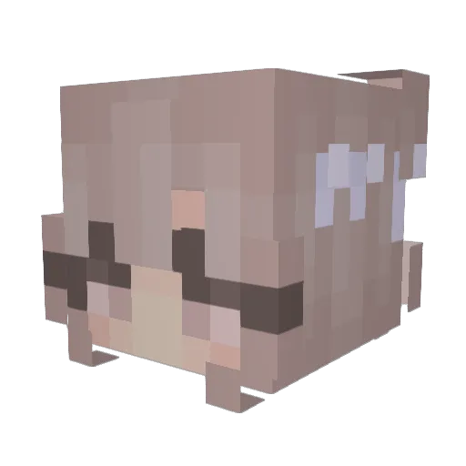 Reikotan Minecraft avatar head, 3D render