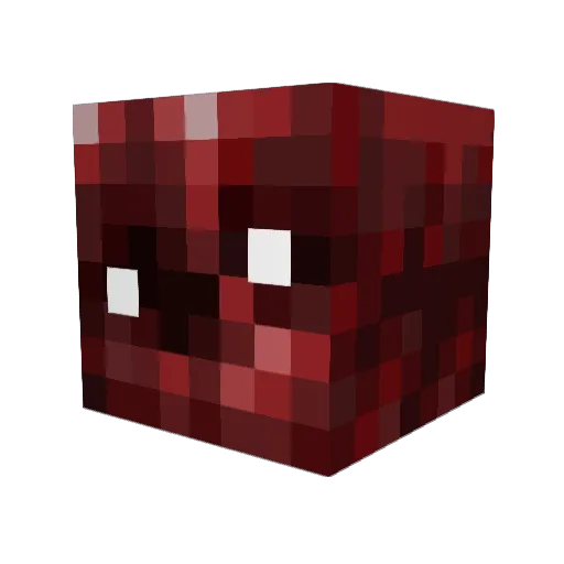 Reillien Minecraft avatar head, 3D render