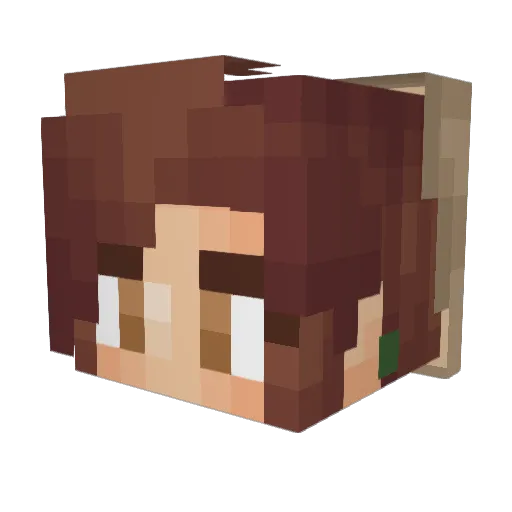ReillyBooks Minecraft avatar head, 3D render