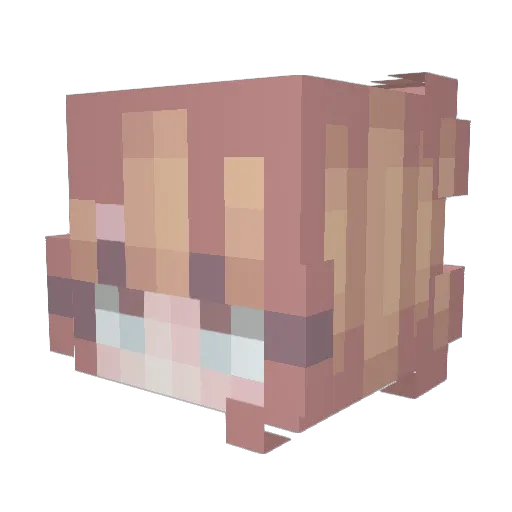 Reimerson71 Minecraft avatar head, 3D render