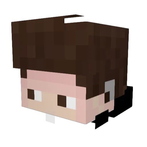 ReinHarden Minecraft avatar head, 3D render