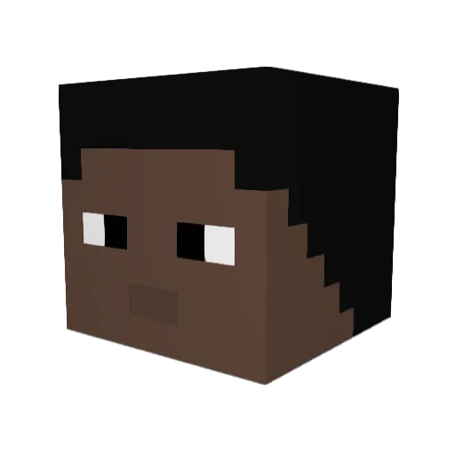 Reinbun Minecraft avatar head, 3D render