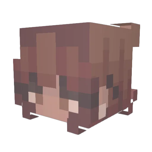Reinca19 Minecraft avatar head, 3D render