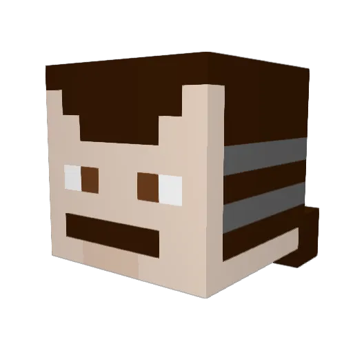 Reindier2004 Minecraft avatar head, 3D render
