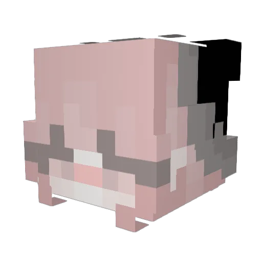 Reiner051295 Minecraft avatar head, 3D render