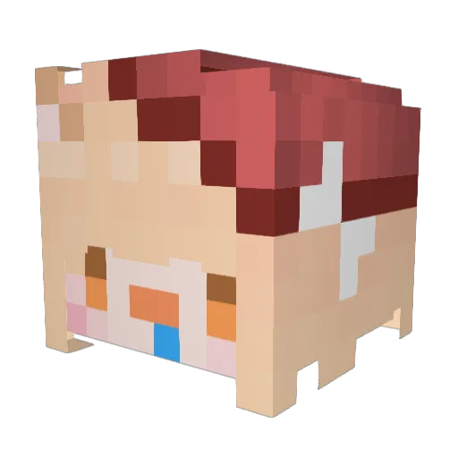 Reineresit Minecraft avatar head, 3D render