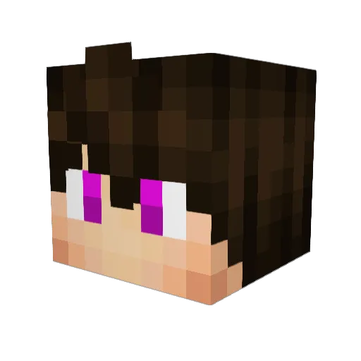 Reinfalls Minecraft avatar head, 3D render