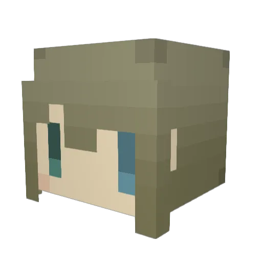 Reinforce666 Minecraft avatar head, 3D render