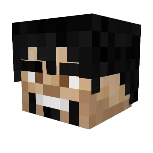 Reinhaldgod Minecraft avatar head, 3D render