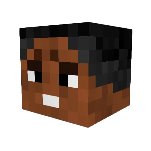 Reint Minecraft avatar head, 3D render