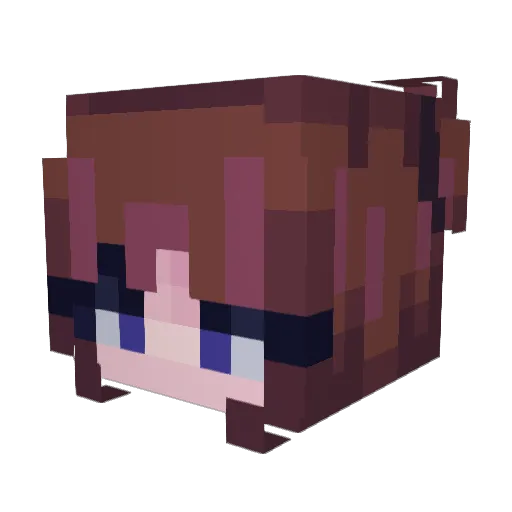 Reipuff Minecraft avatar head, 3D render