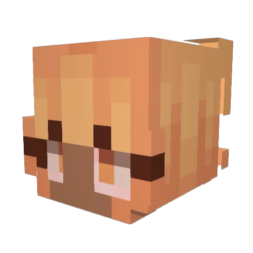 Reiraxzz Minecraft avatar head, 3D render