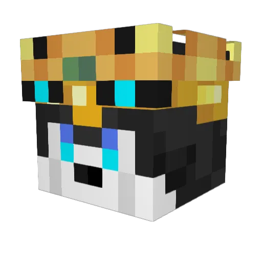 Reis1002 Minecraft avatar head, 3D render