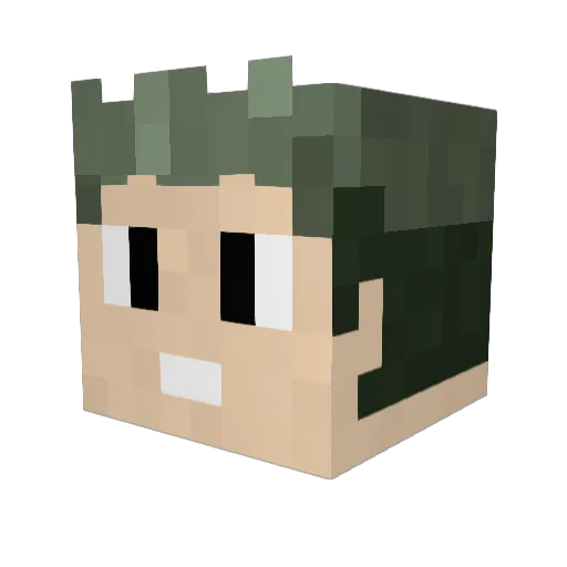 ReisBayer Minecraft avatar head, 3D render