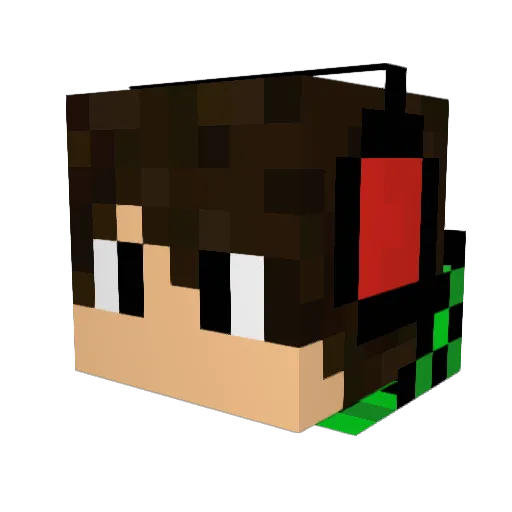 ReisMitSchnitzel Minecraft avatar head, 3D render