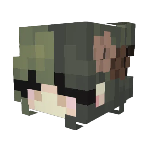 ReisOma Minecraft avatar head, 3D render