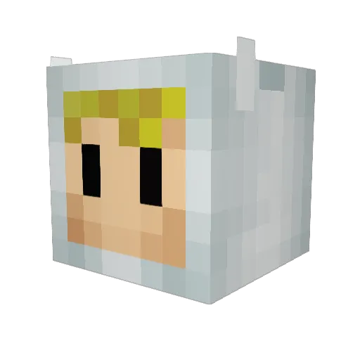 Reisake Minecraft avatar head, 3D render
